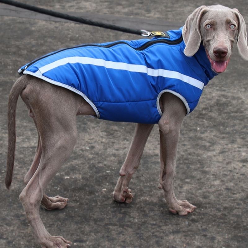Fabricante al por mayor al aire libre al aire libre estilo fresco hilos altamente reflectantes chaqueta de perro abrigos impermeables